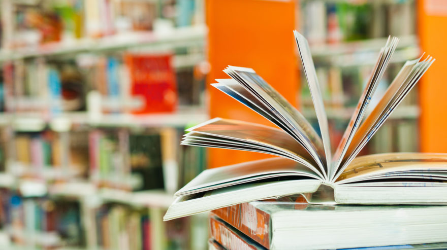 Imagem de Die Bibliothek des Goethe-Zentrums Brasília